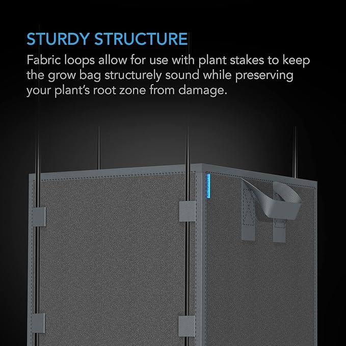 AC Infinity Square Heavy Duty Fabric Pots, 3 Gallon Aeration Reusable Grow Bags 5-Pack with 500G Thick Nonwoven Fabric and Plant Stake Loops, for Garden Growing Fruits, Vegetables, and Flowers