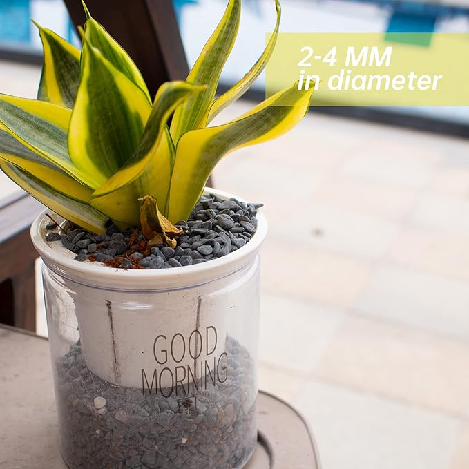 Anothera Stones for Plants, 3LB Smooth Natural Black River Rocks, Plant Aquarium Gravel Stones for Succulents Bonsai Terrarium Vase Fillers Fish Tank Indoor Outdoor Garden Decor（6-9 mm）