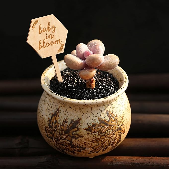 Baby in Bloom Succulent Tags Baby Shower Favors Gifts, PARBEE 20PCS Hexagon Plant Stakes Labels Gift Wooden Garden Stakes Succulent Plant Markers