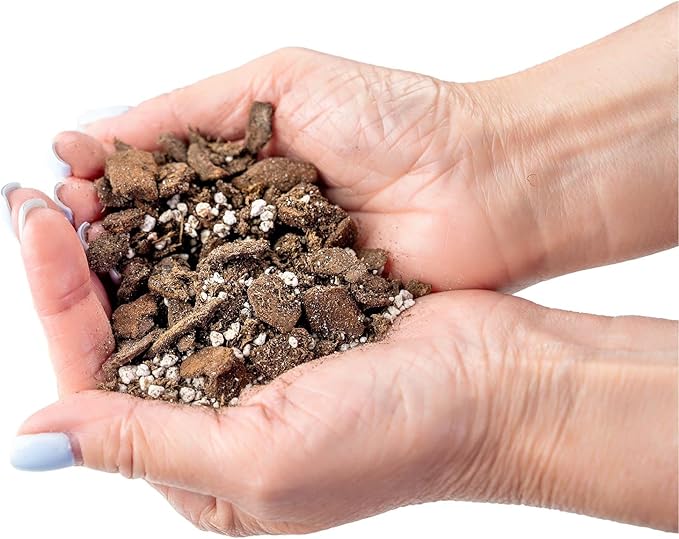 Professional Succulent Soil Premium All Purpose Blend | Pre-Mixed Ready to Use for Cactus and Succulents | Sphagnum Peat Moss, Perlite, New Zealand Pine Bark - Made in USA - 1 Quart