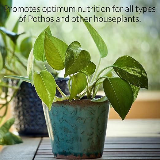 Professional Liquid Pothos Plant Fertilizer | 3-1-2 Concentrate for Epipremnums and Houseplants | Multi-Purpose Blend & Gardening Supplies | 8 oz Bottle