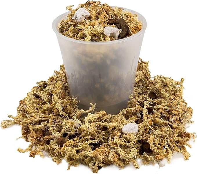 Premium Phalaenopsis Imperial Orchid Potting Mix - Hand Mixed in Small Batches | Great for Phalaenopsis of All Kinds - by GARDENERA - 1 Quart Bag