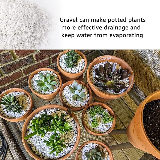 Anothera 6mm-8mm Succulent and Cactus Bonsai DIY Rocks, White Onyx, Gravel for Terrarium, Fairy Gardening, Top Dressing （3LB）