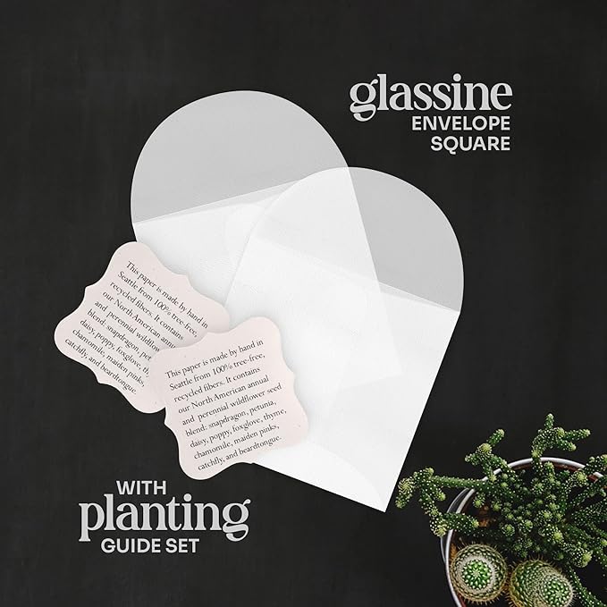 Set of 24 Mixed Heart – Plantable Seed Paper for Weddings, Gifts, and Life Events