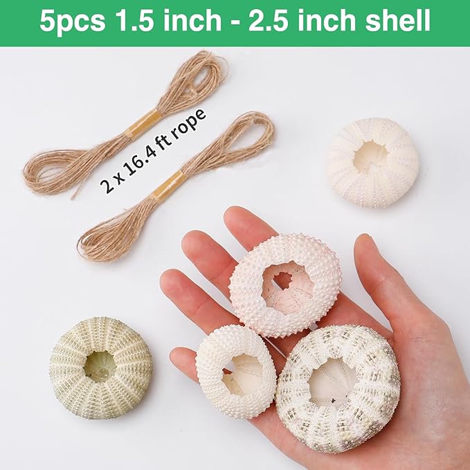 5 Pack Mini Sea Urchin Shell Air Plant Holders- 5 Styles Decorative Hanging Air Plant Pot, Tillandsia Succulent Display Container for Home Gardening Gifts Garden Beach Theme Party Decors, No Plants
