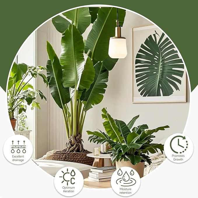 Premium Banana Tree Potting Mix for Optimal Seedling Growth 1qt, Suitable for All Indoor and Outdoor Banana Tree Varieties