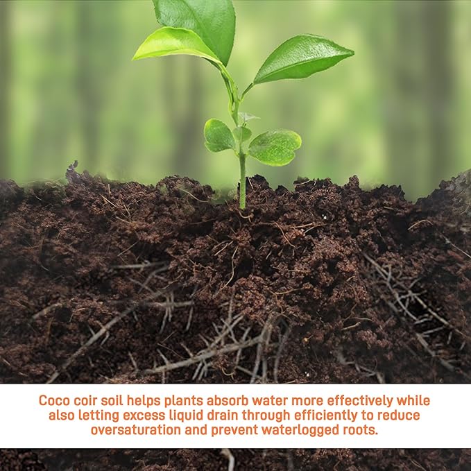 Premium Organic Coconut Coir Bricks - 6 Pack Coco Coir Bricks for Planting, Gardening, and Potting Soil Substrate. Low EC & pH Balanced 100% Organic Peat Moss Mix with Fiber from Coconut Husks