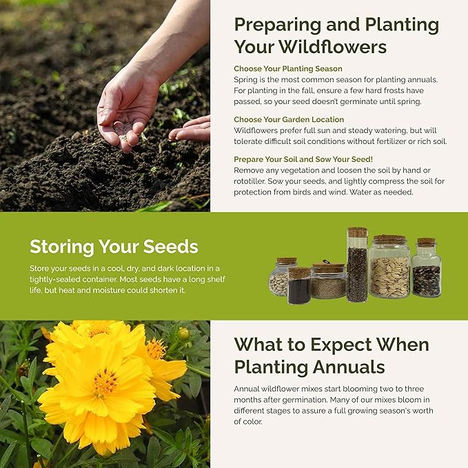 Eden Brothers Jellybean Flower Mixed Seeds for Planting, 1/4 lb, 120,000+ Seeds with Zinnia, Cornflower, Cosmos, Calendula, Attracts Pollinators, Plant in Spring or Fall, Zones 3, 4, 5, 6, 7, 8, 9, 10