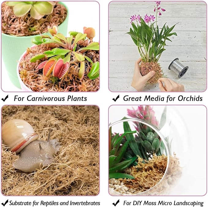 Halatool 3.3LBS Natural Sphagnum Moss for Plants 60 QT Premium Peat Moss Dried Long Fiber Orchid Moss for Orchid Repotting Carnivorous Succulents Garden Flowers Crafts Terrarium and Reptiles