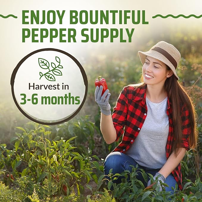 Rooted Acre 8 Varieties Pepper Seeds - Non GMO, USA, Heirloom Hot Pepper Seeds inc Ghost and Jalapeno - High Germinating Pepper Seeds for Planting Home Garden: Serrano, California Wonder, and More