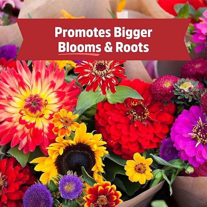 Back to the Roots 100% Organic Bone Meal | Made in The USA | Premium Nutrition for Indoor and Outdoor Plants