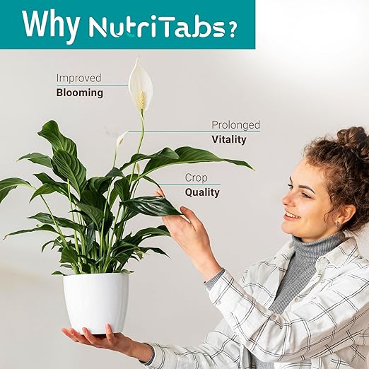 Plant Food for Houseplants - 3 Packs Blue “Bloom Boosting” Mineral Tablets; Nitrogen Rich Fertilizer; Indoor/Outdoor Plant Food for Bloom Nutrition; Garden, Tree and House Plant Fertilizer