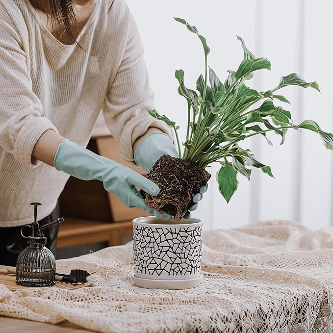 6 Inch Plant Pots: Ceramic Planter Pot with Drainage Hole & Saucer - Planters for Indoor/Outdoor Plants - Flower Pot with Bonded Tray for Home/Office - Tile Design Debossed