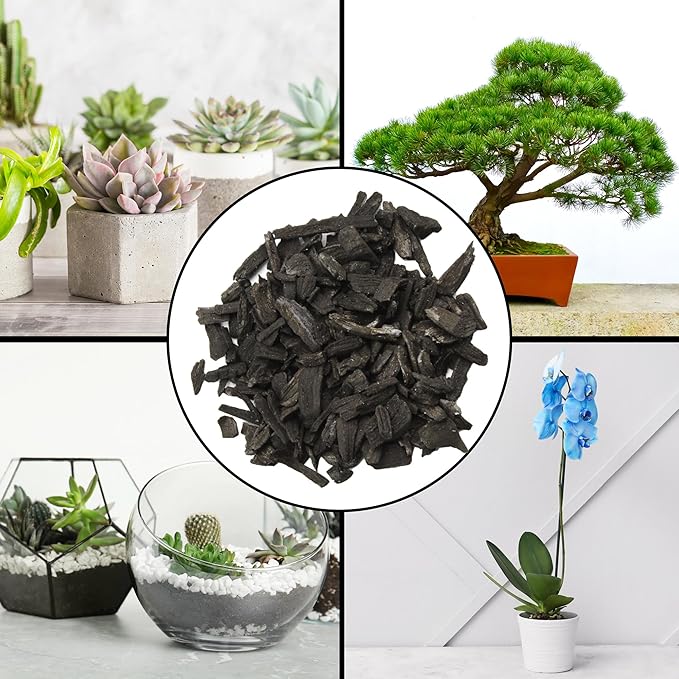 Horticultural Charcoal for Indoor Plants (12 Quarts), Hardwood Soil Additive for Orchids, Terrariums, and Gardening
