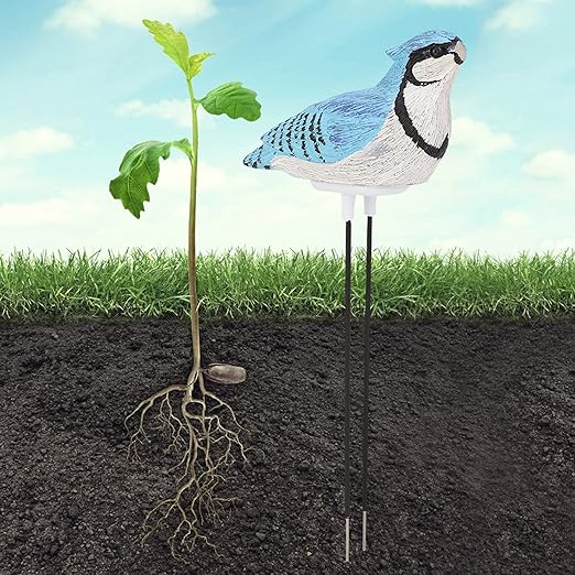 Watering Alarm Bird Plant Soil Tester, Hygrometer Sensor Gardening Tool, for Planter Water Remind Warining Alert(Battery Included)(Blue)