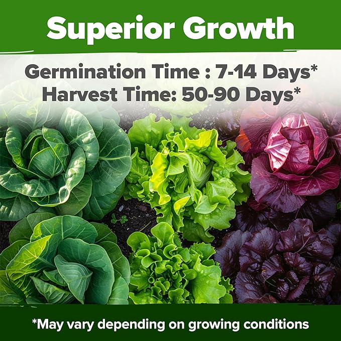 HOME GROWN 10,000+ Heirloom Lettuce Seeds for Planting Indoors - 95% Germination, Non-GMO Greens Seeds, (20 Varieties): Kale, Spinach, Butter, Oak, Romaine Bibb & More - Lettuce Seeds for Hydroponic