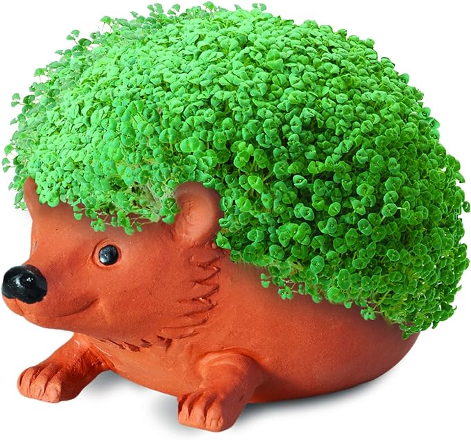 Chia Pet Hedgehog Decorative Pottery Planter with Seed Pack, Decorative Pottery Planter, Easy to Do and Fun to Grow, Novelty Gift, Perfect for Any Occasion