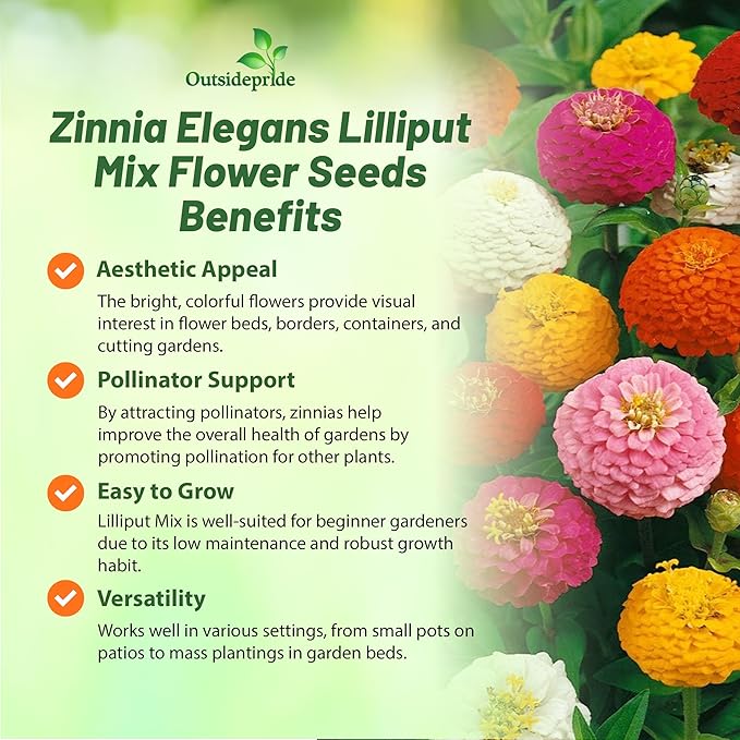 Outsidepride Zinnia Seeds - 1/4 Lb. Annual Blend of Hardy Compact Mixed Color Ball-Shaped Blooms for Planting in Outdoor Containers, Borders, Flower Beds, Cutting Gardens & Pollinator-Friendly Spaces