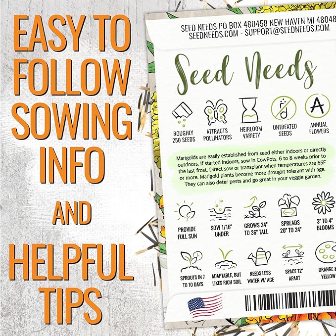 Seed Needs Crackerjack Marigold Seeds for Planting - Heirloom & Open Pollinated Annual Flowers - Plant a Butterfly Garden to Attract Pollinators (2 Packs (500 Seeds))