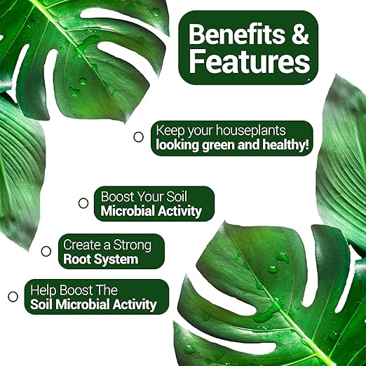 Elm Dirt Kelp Mist 100% Organic Plant Spray - Foliar Spray for Plants Food Indoor House Plants & Outdoor Plant food | Help Plant Nutrients Efficiently & Boost Soil Activity - Kelp Foliar Spray (16 oz)