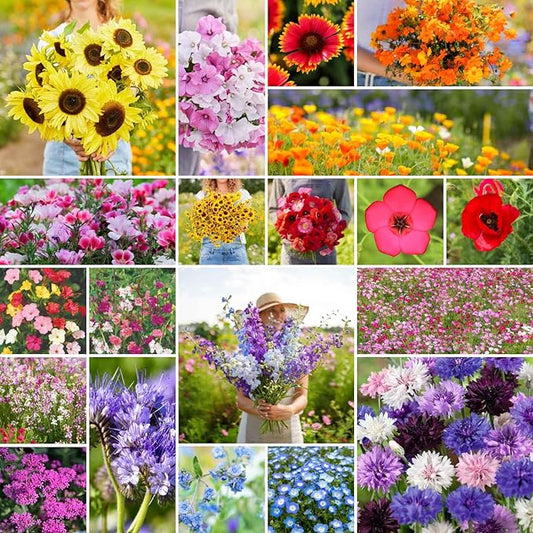 Eden Brothers All Annual Wildflower Mixed Seeds for Planting, 1/4 lb, 120,000+ Seeds with Sunflower, Indian Blanket, Scarlet Flax | Attracts Pollinators, Plant in Spring, Zones 3, 4, 5, 6, 7, 8, 9, 10