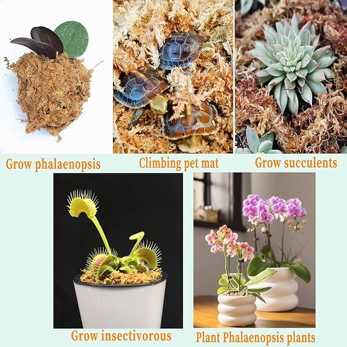 4oz Premium Sphagnum Moss Potting Mix, Plants Moss Dried Plant Growing Medium for Orchid Monstera (Appx 5 QT)