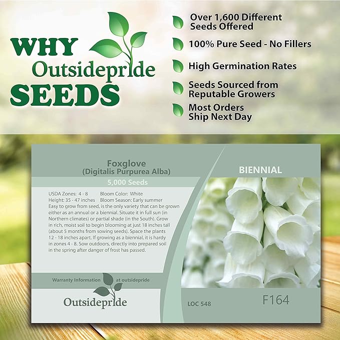 Outsidepride 5000 Seeds Biennial Digitalis Foxglove White Flower Seeds for Planting