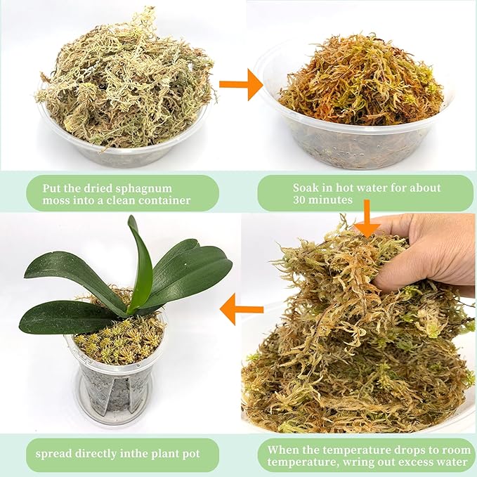 4oz Premium Sphagnum Moss Potting Mix, Plants Moss Dried Plant Growing Medium for Orchid Monstera (Appx 5 QT)