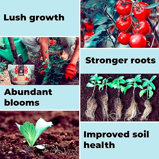All Purpose Plant Food - Grow Goodies, High-Performance Fertilizer, Triple 16 NPK + Organic Superfoods and Micronutrients (Roses, Vegetables, Orchids, Tomatoes, Gardens, 1LB)