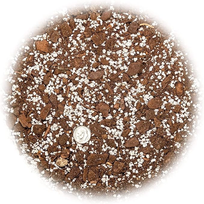 Premium Aloe Vera Potting Soil Mix - (4 Quart Bag)