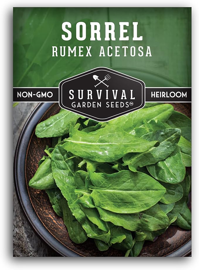 1 Pack Sorrel Seed for Planting - Packet with Instructions to Plant and Grow Rumex Acetosa Tangy Herb and Salad Greens in Your Home Vegetable Garden - Non-GMO Heirloom Variety - Survival Garden Seeds