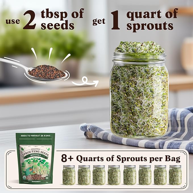 Organic Broccoli Seeds for Sprouting - Non-GMO, USA Grown Broccoli Microgreens Sprouting Seeds Mix - Makes 8 Quarts of Sprouts, 24 Servings (8 oz) (Broccoli)