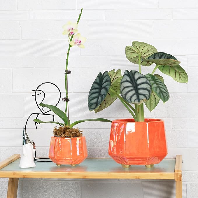 6 Inch + 4 Inch Ceramic Planter for Indoor Plants - Plant Pots with Drainage Hole - Modern Minimalist Flower Pot for Succulents and Herbs - Peach