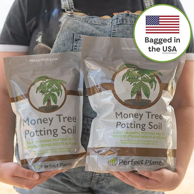 Perfect Plants Money Tree Potting Soil 2qt | Organic Coco Coir Based Plant Mix for Indoor Trees | Quickly Grow Your Indoor Forest (2qts.)