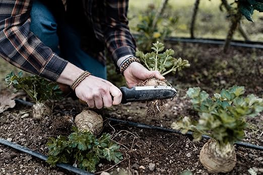 Barebones Hori Hori Classic - Garden Knife - Heat-Tempered Stainless Steel Blade and Walnut Handle