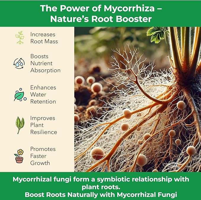 Organic Original Super Soil Concentrate with Mycorrhizae – Living Soil Boosts Roots & Buds for Seeds & Clones - Indoor & Outdoor Growing - Mix 1:4 with Topsoil Potting Soil (3 quarts)