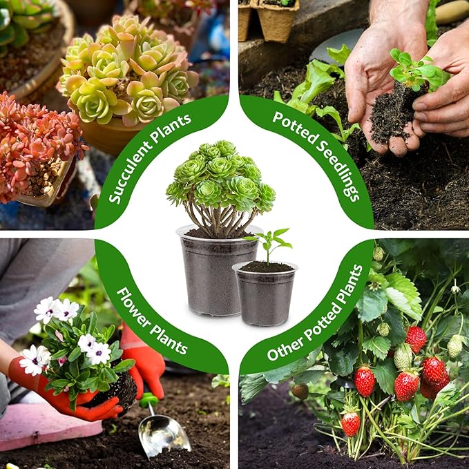 36 Packs Clear Nursery Pots for Plants, 3/3.5/4/5/6/7 Inch Plastic Pots for Plants with Drainage Holes, Variety Pack Nursery Pots for Plants, Flower, Herb, Bonsai, Succulent