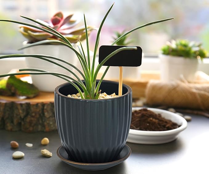 D'vine Dev Set of 2 Stoneware Planter Pot, Ceramic Pot with Drainage Hole and Saucers, 4.5 Inch 5.8 Inch, Charcoal Grey, 99-D-3