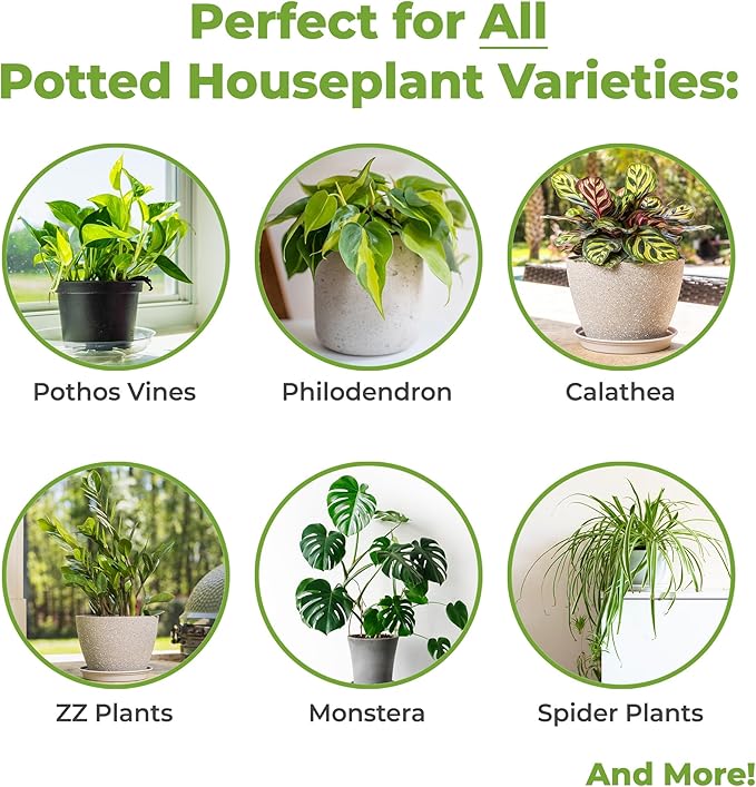 Perfect Plants Indoor Plant Soil 4qt | Perfectly Balanced Potting Mix | Gardening Substrate for All Varieties of Live houseplants