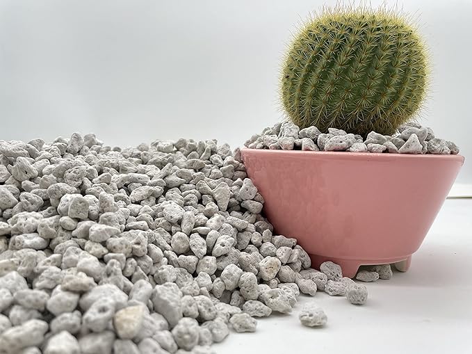 Pumice for Bonsai, Succulent, Cactus. | 20 Quarts Bag | 1/4” Particle Size | The Bonsai Supply