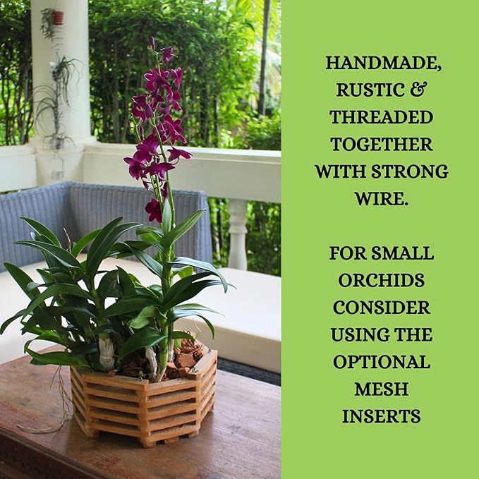 3 Wooden Octagon Shaped Orchid Baskets with Hangers. Rustic Handmade Vanda Baskets, Hanging Boxes