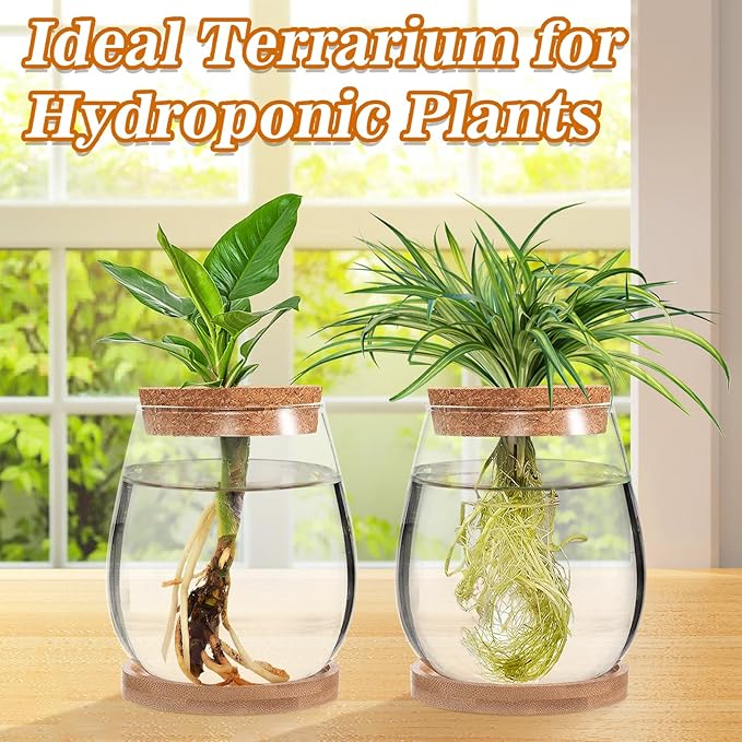 Plants Propagation Station - 2Pcs Desktop Plant Terrarium Glass Hydroponic Vases, Water Plant Propagating Jars, Gardening Gifts for Women Mom Plant Lovers (Water Drop Shape, Separated Tray Style)