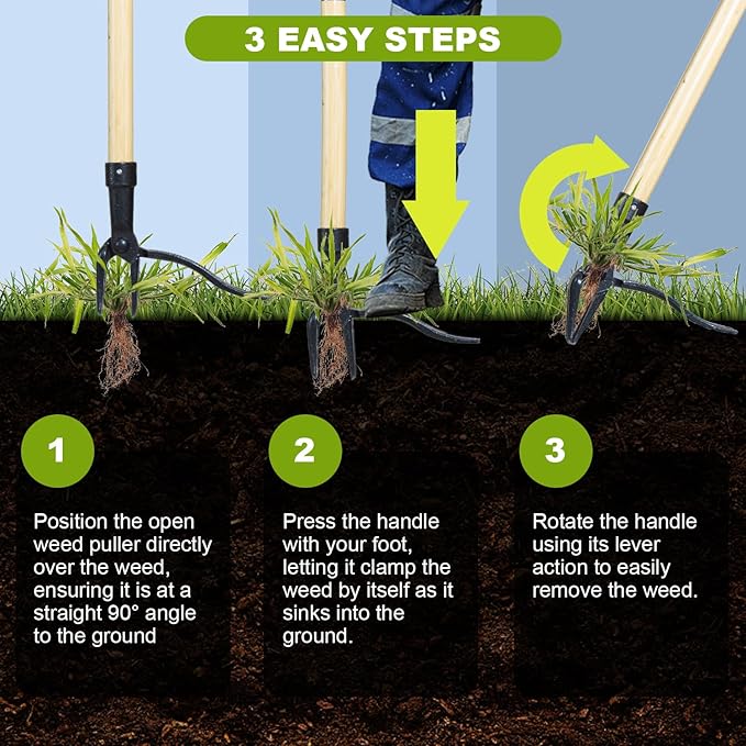 46 Inch Weed Puller Tool with Long Handle, Bamboo Grip & 4 Claw Steel Head, 3-Section Design for Easy Weed Removal Without Bending, Pulling or Kneeling, Durable Stand Up Gardening Tool