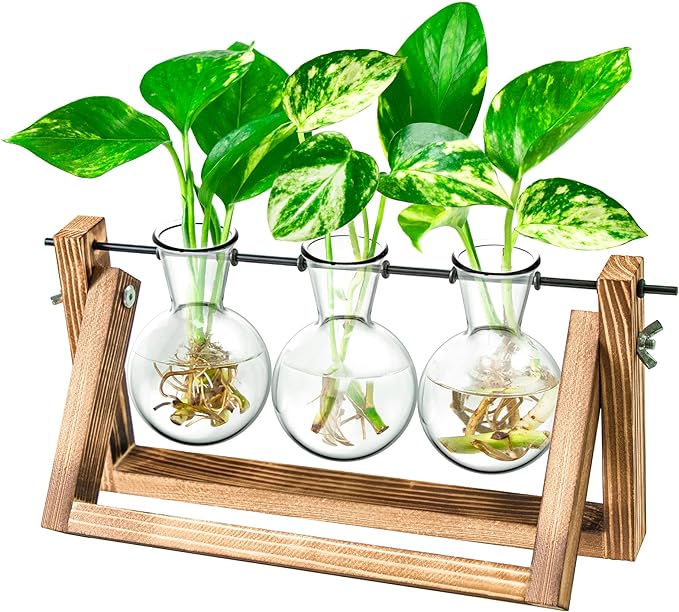 Ivolador Propagation Station, Plants Terrarium, Plants Lover Gifts for Women,Plant Cutting Holder Home décor,Gifts for Women,House Warming Gifts New Home for her