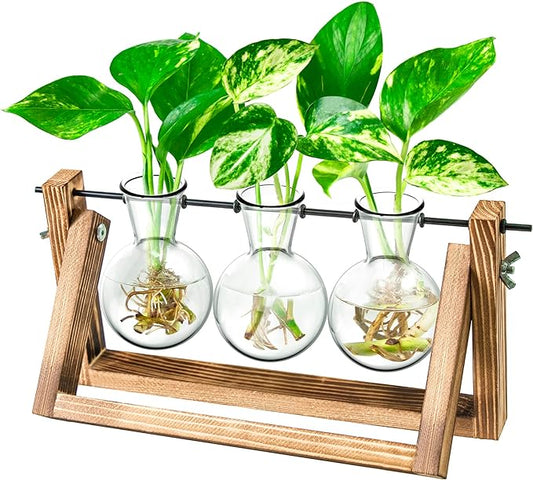 Ivolador Propagation Station, Plants Terrarium, Plants Lover Gifts for Women,Plant Cutting Holder Home décor,Gifts for Women,House Warming Gifts New Home for her