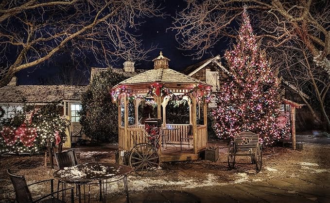 Outdoor String Lights, 600 LED 216Ft Christmas Light with Remote, 8 Lighting Modes, Powered Plug for Wedding Party Garden Tree Yard Indoor Decorations(216 Ft | Multi, 216 Ft)