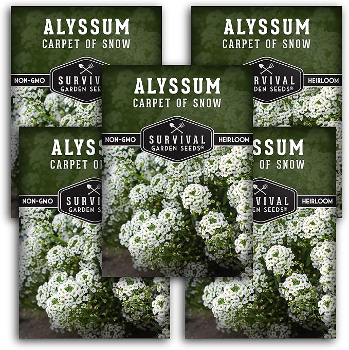 5 Packs Carpet of Snow Alyssum Seed for Planting with Instructions to Grow Lobularia maritima in Your Home Flower or Vegetable Garden - Non-GMO Heirloom - Survival Garden Seeds