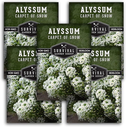 5 Packs Carpet of Snow Alyssum Seed for Planting with Instructions to Grow Lobularia maritima in Your Home Flower or Vegetable Garden - Non-GMO Heirloom - Survival Garden Seeds