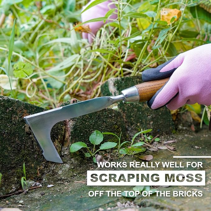 Crack Weeder, L-Shaped Stainless Steel Crevice Weeding Tool, Comfortable Grip Wood Handle Paver Weeder, 11'' Sidewalk Weed Removal Tool for Garden Lawn, Bricked Patio and Terrace Paving Moss