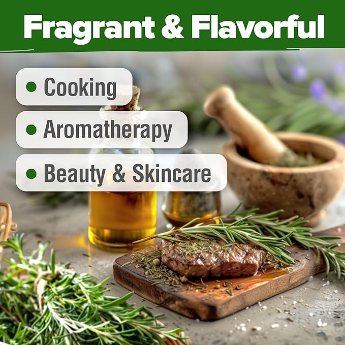 HOME GROWN Rosemary Seeds Bulk Pack - 150 High Germinating Non-GMO Heirloom Culinary Herb Seeds for Planting in Indoor or Outdoor Herb Gardens - USA Sourced (Salvia rosmarinus)